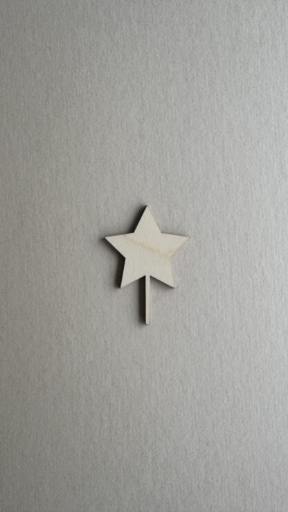 Stecker Stern Geburtstagskranz